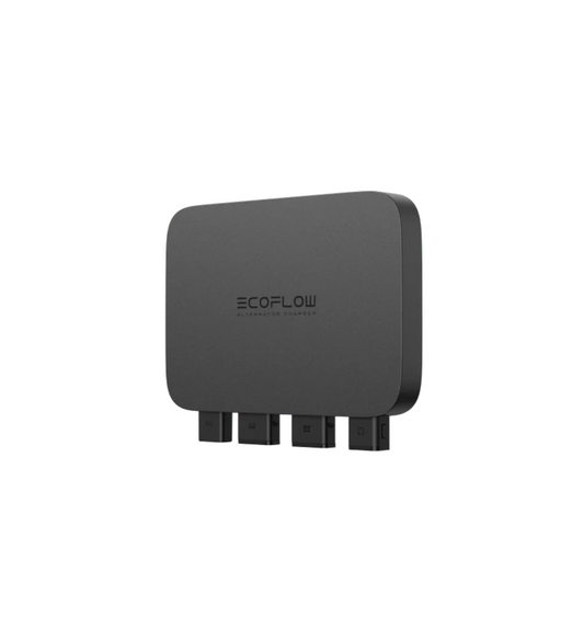 EcoFlow 800W Dynamolader